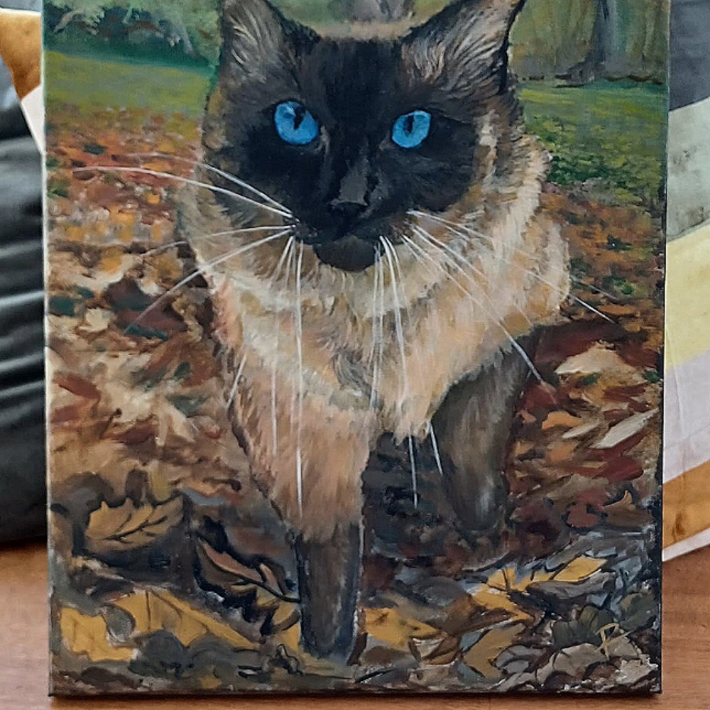 Pet portraits handpainted on canvas